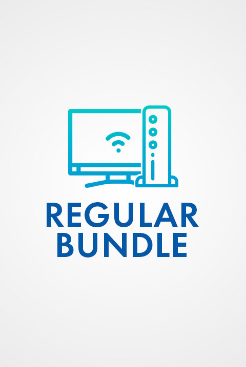 Regular Bundle